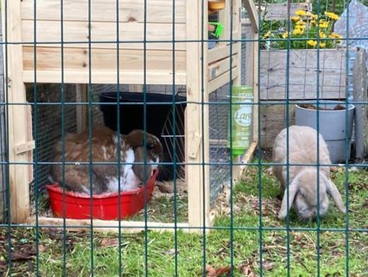 Rongahuset Bnb Evanger Zewnętrze zdjęcie